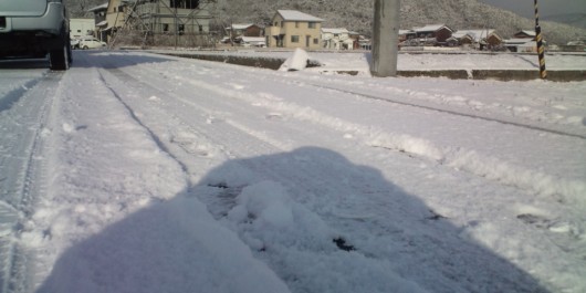 今シーズン初の雪